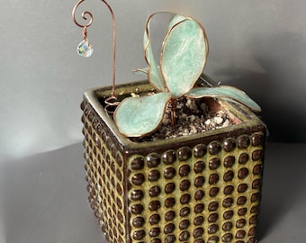 Mini macetas para suculentas, estacas decorativas para jardín, soportes para plantas que favorecen el crecimiento, prismas hechos a mano, decoración de jardín, alambre de cobre, regalo floral
