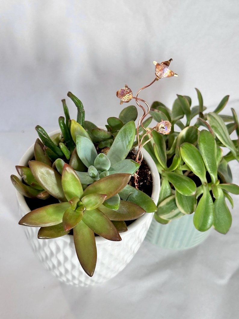 Op de afbeelding: Twee vetplanten in potten, &eacute;&eacute;n in een witte pot met textuur en de andere in een lichtblauwe pot. Een koperdraad plantensteker met iriserende kristalachtige bloemen is in de witte pot geplaatst. De vetplanten hebben groene en roodbruine bladeren.