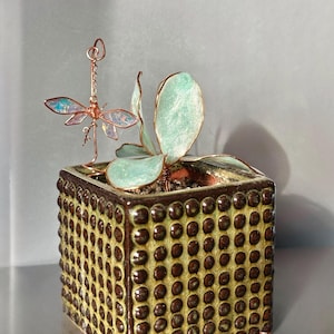 May include: A square ceramic planter with a textured, dotted pattern in brown and yellow. It features a succulent plant with light green leaves and a copper dragonfly ornament. The dragonfly has iridescent wings.