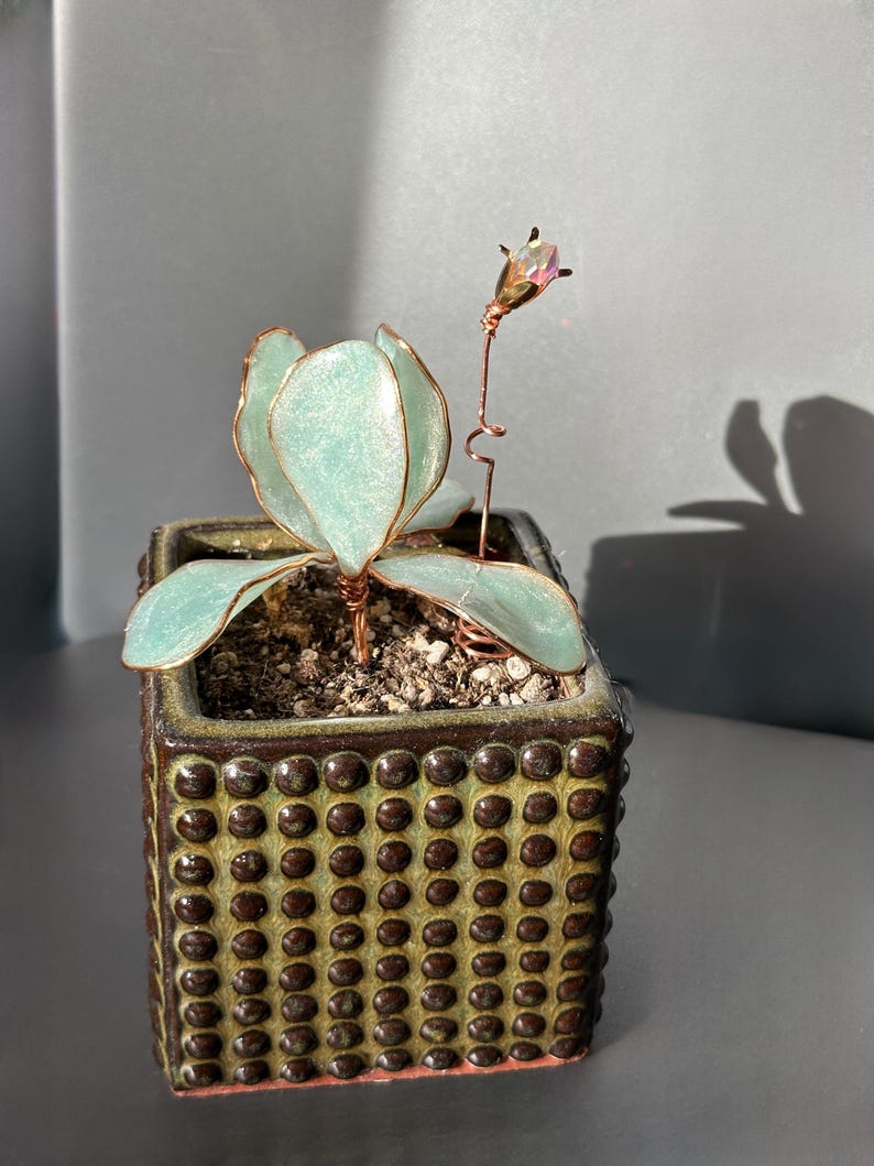 Op de afbeelding: Een handgemaakte vetplant sculptuur in een vierkante, getextureerde keramische pot. De vetplant heeft lichtblauwe, bloemblad-vormige bladeren met koperdraad randen. Een delicate koperdraad steel ondersteunt een kristalachtige knop.