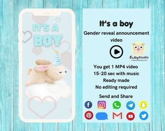 Gender Reveal Video Boy, Digital Gender Reveal Video for Social Media, Digital Pregnancy Announcement, Baby Announcement, Cute Bunny, #3