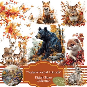 Clipart numérique « Amis de la forêt d'automne », 50 PNG animaux de la forêt d'automne, ours noir, cerf, renard, ratons laveurs, ruisseau de forêt, oiseaux