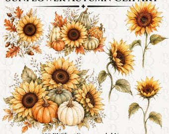 Sunflower Autumn Clipart, Fall Sunflower PNG, Pumpkin Watercolor Clip Art, Rustic Farmhouse Fall Flowers, Commercial Use PNG Bundle, 100 PNG