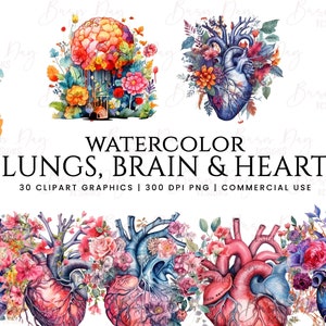 30 imágenes prediseñadas efímeras de acuarela de pulmones, cerebro y corazón, descarga digital, planificador digital, descarga instantánea, imágenes prediseñadas de acuarela