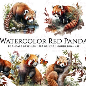 22 Clipart de panda vermelho aquarela, download digital, download instantâneo, impressões digitais, planejador digital, uso comercial