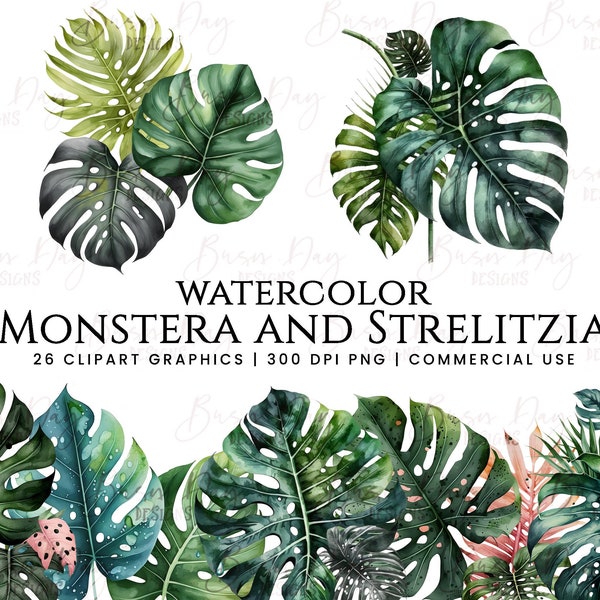 26 Watercolor Monstera and Strelitzia clipart Bundle, digital download, digital planner, instant download, watercolor clipart