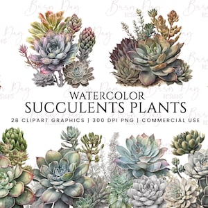 Paquete de 28 imágenes prediseñadas de plantas suculentas de acuarela, Descarga digital, Planificador digital, Descarga instantánea, Imágenes prediseñadas de acuarela, Uso comercial,