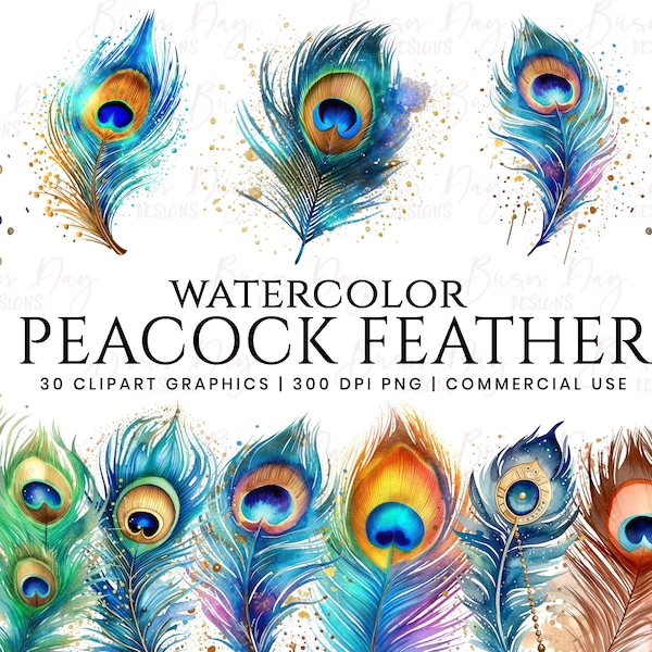 Watercolor Peacock Feather clipart bundle, digital download, digital planner, instant download, watercolor clipart, commercial use,