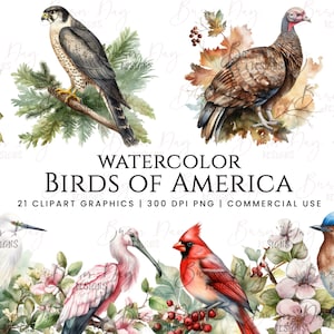 Lot de 21 cliparts aquarelle oiseaux d'Amérique, téléchargement numérique, agenda numérique, téléchargement immédiat, clipart aquarelle, usage commercial,