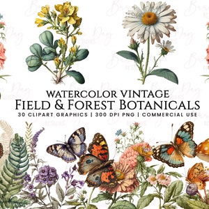 Aquarell Botanicals Vintage Clipart: Feld & Wald Designs (digitaler Download)