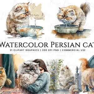 21 aquarel Perzische katten clipart, aquarel clipart, digitale download, instant download, digitale prints, digitale planner