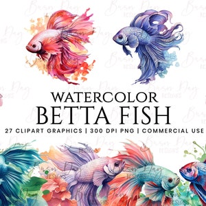 27 Aquarell Betta Fisch Clipart, digitaler Download, digitales Papier, digitaler Planer, Sofort Download, Digitaldrucke