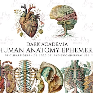 Może przedstawiać: Zestaw 16 ilustracji anatomii człowieka w stylu vintage, w tym serce, mózg, płuca, szkielet i wiele innych. Ilustracje są w stylu dark academia i idealnie nadają się do wykorzystania w materiałach edukacyjnych, rękodziele lub projektach cyfrowych.  DARK ACADEMIA HUMAN ANATOMY EPHEMERA 16 CLIPART GRAPHICS | 300 DPI PNG | COMMERCIAL USE