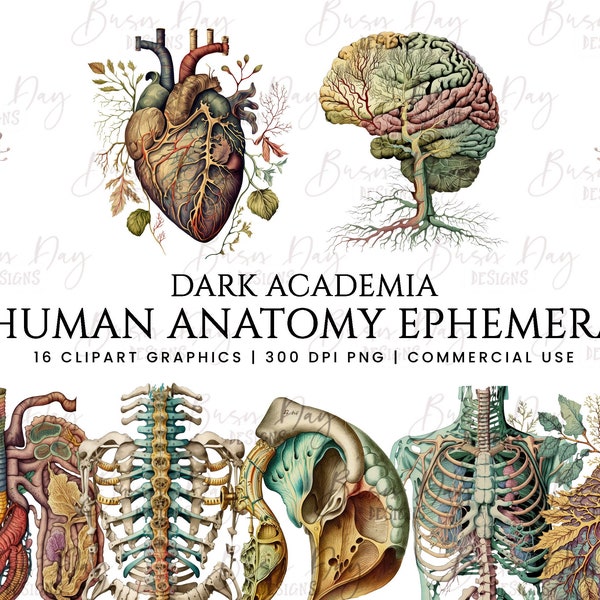 16 aquarel menselijke anatomie Ephemera clipart bundel, digitale download, digitale planner, instant download, aquarel clipart