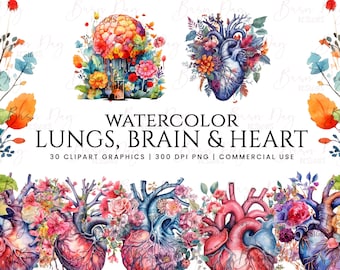30 Watercolor lungs, brain and heart Ephemera clipart, digital download, digital planner, instant download, watercolor clipart