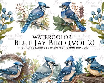 May include: Watercolor clipart graphics of blue jay birds with blue, white, and brown feathers. The birds are perched on branches with berries and leaves. The text "WATERCOLOR BLUE JAY BIRD (VOL. 2)" is displayed above the birds. The text "16 CLIPART GRAPHICS | 300 DPI PNG | COMMERCIAL USE" is displayed below the birds.