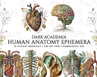 16 Watercolor Human Anatomy Ephemera clipart bundle, digital download, digital planner, instant download, watercolor clipart