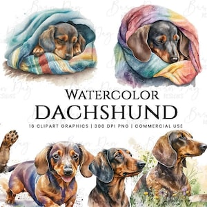 16 teckel clipart bundel-hond illustraties, dierlijke illustraties, commerciële clipart, puppy aquarel illustraties, digitale download