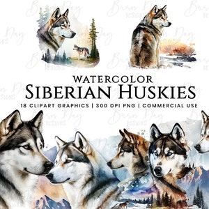 18 Siberian Husky Clipart Bundle- 18 High Quality PNGs - Digital Download - Card Making, Clip Art, Digital Paper Craft