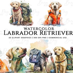 Cute Labrador Retriever Clipart - Dog Clip Art, Animal ClipArt, Commercial Clipart, Puppy Watercolor Clip Art, Digital Download 23PNG Bundle