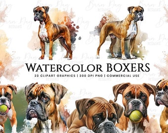 May include: Watercolor illustrations of Boxer dogs in various poses. The dogs are depicted in shades of brown and white, with a watercolor background.