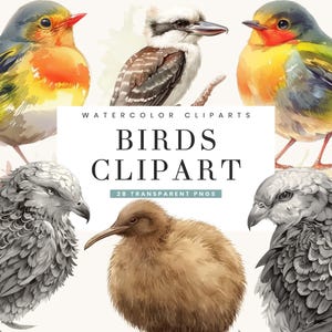 28 Watercolor Birds Clipart Bundle Sublimation Designs Digital Download, Digital Prints, Printable Art, Birds PNG Files