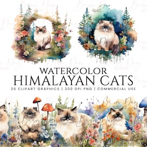 Lot de 26 cliparts aquarelle chats de l'Himalaya, clipart aquarelle, téléchargement numérique, téléchargement immédiat, impressions numériques, agenda numérique