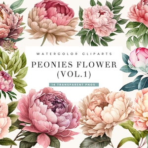 14 imágenes prediseñadas de peonías rosas, PNG, uso comercial completo, imágenes prediseñadas florales de acuarela con descarga instantánea