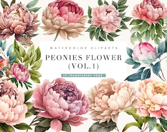 14 Pink Peonies Clipart, PNG, Full Commercial Use, Watercolor Floral Clipart with Instant Download