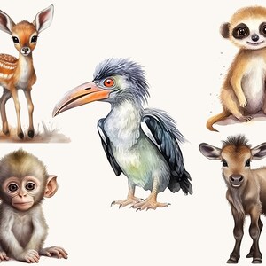 34 Watercolor Safari Animal Clipart Bundle Digital Download Sublimation ...