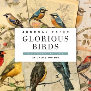 25 Glorious Birds Junk Journal Paper Pages Sublimatieontwerpen Digitale download, digitale prints, Junk Journal Kit