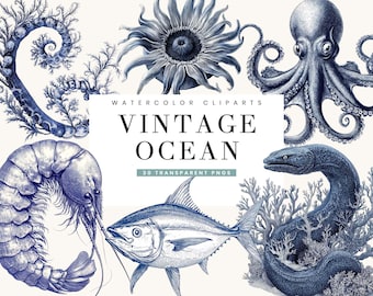 May include: Watercolor clip art set featuring vintage ocean illustrations in shades of blue. Includes an octopus, shrimp, fish, and other sea life. The text "Vintage Ocean" is displayed in the center.