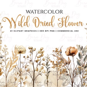 Watercolor Dried Wildflowers Collection Bundle