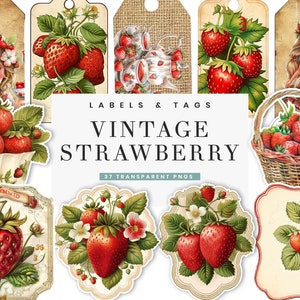 37 Junk journal kit, Vintage Strawberries Label & Tags  Digital Journal Sublimation Designs Digital Download, Digital Prints, PNG designs