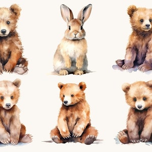 Pu&ograve; includere: Illustrazione ad acquerello di sei animali della foresta: cinque cuccioli di orso bruno e un coniglio. I cuccioli di orso sono in varie pose, tutti seduti. Il coniglio &egrave; seduto in posizione eretta. Gli animali sono dipinti in tonalit&agrave; marroni e beige.