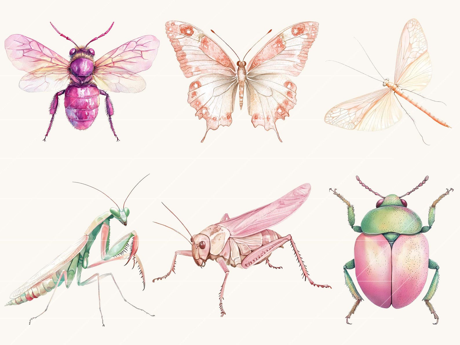 Watercolor Pink Bugs Clipart Bundle: Vintage Insect Designs (digital ...