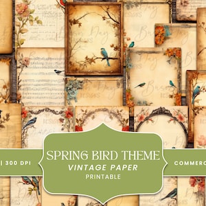 36 Spring bird Pacote de papel digital vintage, scrapbooking digital, impressões digitais, download digital, download instantâneo, clipart com desconto