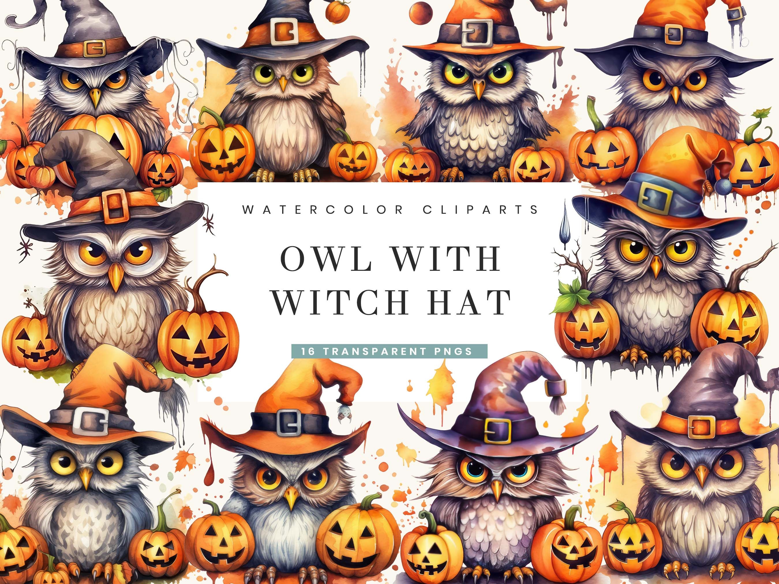 16 Watercolor Funny Owl with Witch Hat Clipart Bundle, Digital Download, Instant Download, Printable