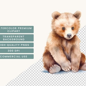Pu&ograve; includere: Illustrazione ad acquerello di un cucciolo di orso bruno seduto. L'immagine ha uno sfondo trasparente e include il testo "WATERCOLOR PREMIUM CLIPART", "TRANSPARENT BACKGROUND", "HIGH QUALITY PNGS", "300 DPI" e "COMMERCIAL USE".