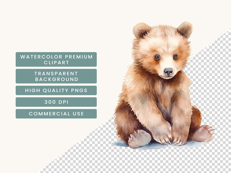Pu&ograve; includere: Illustrazione ad acquerello di un cucciolo di orso bruno seduto. L'immagine ha uno sfondo trasparente e include il testo "WATERCOLOR PREMIUM CLIPART", "TRANSPARENT BACKGROUND", "HIGH QUALITY PNGS", "300 DPI" e "COMMERCIAL USE".