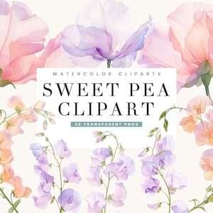 26 Aquarell Sweet Pea Clipart Bundle Sublimation Designs digitaler Download, Digitaldrucke, Aquarell Clipart, Blumen Druck PNG-Dateien
