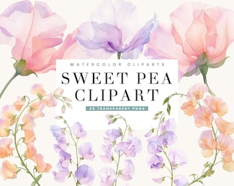 Watercolor Sweet Pea Clipart Bundle: Flower Print PNG Files (Digital Download)