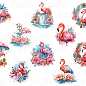 Peut inclure: Illustrations &agrave; l'aquarelle de flamants roses dans diff&eacute;rentes poses, entour&eacute;s de fleurs et de feuillages tropicaux. Certains flamants roses se tiennent sur une fontaine, sous un parapluie et dans une couronne.