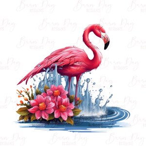 Peut inclure: Un flamant rose se tenant dans l'eau bleue avec des fleurs roses et des feuilles vertes. Le flamant rose est dans une pose &eacute;claboussante avec des gouttelettes d'eau autour de lui.