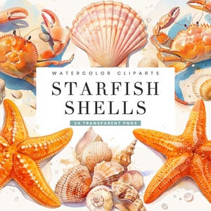 24 Watercolor Starfish Clipart Bundle Sublimation Designs Digital Download, Digital Prints Instant Download, Starfish PNG Files