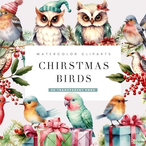20 aquarel kerstvogels clipartbundel digitale download, aquarel clipart, instant download, sublimatie ontwerpen digitale muurkunst