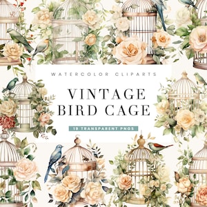 19 Aquarell Vogelkäfig Vintage Clipart Bundle digitaler Download Sublimation Designs, sofortiger Download, Png Designs druckbare Kunst