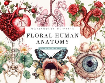 Watercolor Floral Anatomy Clipart Bundle: Human Organs, Sublimation Designs (Digital Download
