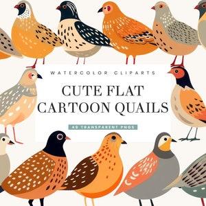 48 Flat cartoon Quails Clipart Bundle Digital Download Printable Art Sublimation Designs Instant Download Png Files