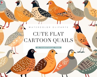 Clipartbundel cartoon kwartel: plat ontwerp, afdrukbare png-bestanden (digitale download)